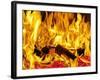 Burning Wood-Paul Biddle-Framed Photographic Print