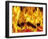 Burning Wood-Paul Biddle-Framed Photographic Print