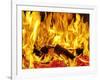 Burning Wood-Paul Biddle-Framed Photographic Print