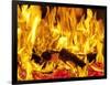 Burning Wood-Paul Biddle-Framed Photographic Print