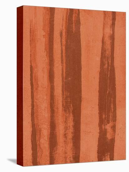 Burnished Expression - Tide-Bill Philip-Stretched Canvas