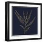 Burnished Gold - Willow-Kim Johnson-Framed Giclee Print