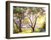 Burnished Landscape-Erin Dertner-Framed Art Print