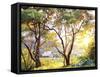 Burnished Landscape-Erin Dertner-Framed Stretched Canvas