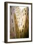 Burnished Modern II-Alan Hausenflock-Framed Photographic Print