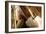 Burnished Modern IV-Alan Hausenflock-Framed Photographic Print