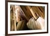 Burnished Modern IV-Alan Hausenflock-Framed Photographic Print