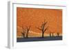 Burnished Skies-Frank Krahmer-Framed Giclee Print