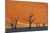 Burnished Skies-Frank Krahmer-Mounted Giclee Print