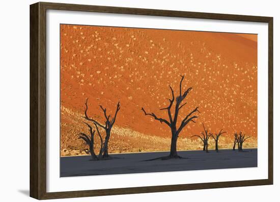 Burnished Skies-Frank Krahmer-Framed Giclee Print