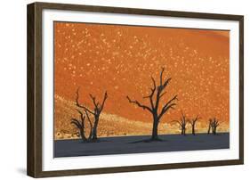 Burnished Skies-Frank Krahmer-Framed Giclee Print