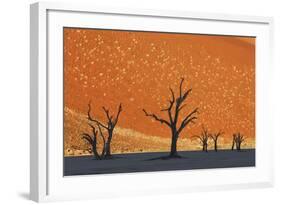 Burnished Skies-Frank Krahmer-Framed Giclee Print