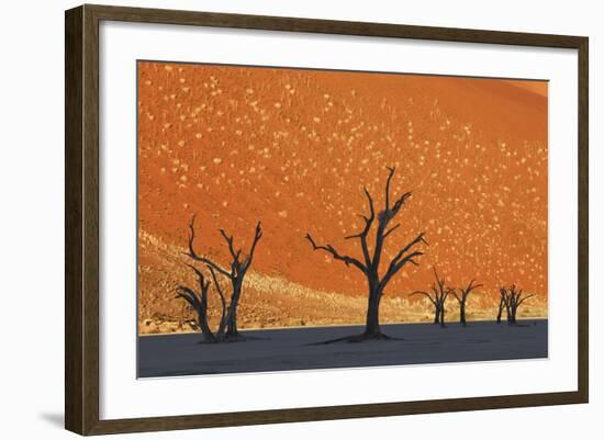 Burnished Skies-Frank Krahmer-Framed Giclee Print