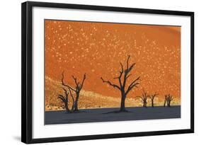 Burnished Skies-Frank Krahmer-Framed Giclee Print