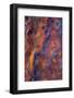 Burnt Earth I-Doug Chinnery-Framed Photographic Print