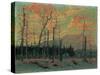 Burnt Land at Sunset, 1915-Thomas John Thomson-Stretched Canvas