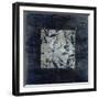 Burnt Silver Progression-Liz Jardine-Framed Art Print