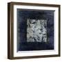 Burnt Silver Progression-Liz Jardine-Framed Art Print