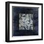 Burnt Silver Progression-Liz Jardine-Framed Art Print