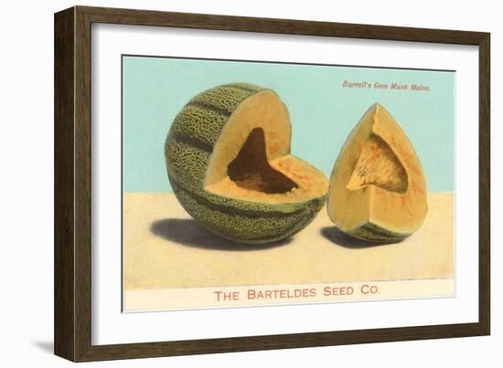 Burrell's Gem Musk Melon-null-Framed Art Print