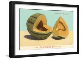 Burrell's Gem Musk Melon-null-Framed Art Print