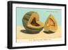 Burrell's Gem Musk Melon-null-Framed Art Print