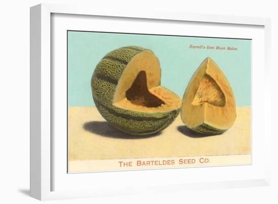 Burrell's Gem Musk Melon-null-Framed Art Print