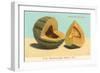 Burrell's Gem Musk Melon-null-Framed Art Print
