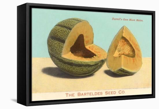 Burrell's Gem Musk Melon-null-Framed Stretched Canvas