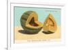 Burrell's Gem Musk Melon-null-Framed Premium Giclee Print