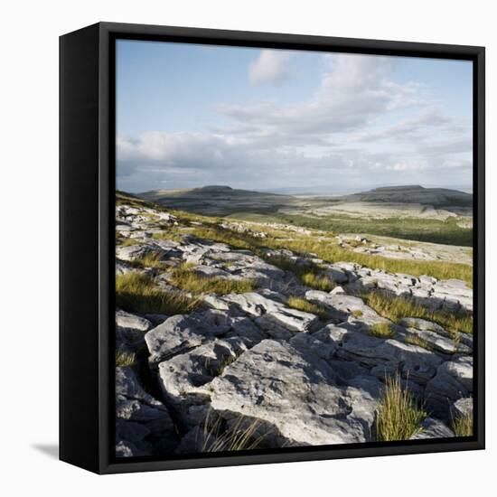 Burren, County Clare, Munster, Republic of Ireland, Europe-Andrew Mcconnell-Framed Stretched Canvas