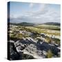 Burren, County Clare, Munster, Republic of Ireland, Europe-Andrew Mcconnell-Stretched Canvas