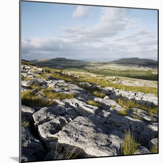 Burren, County Clare, Munster, Republic of Ireland, Europe-Andrew Mcconnell-Mounted Photographic Print