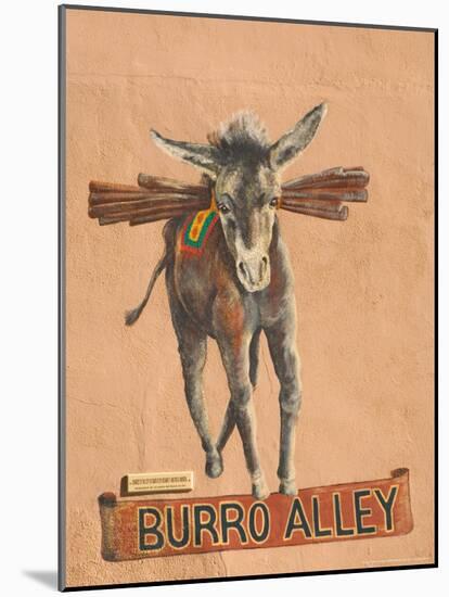 Burro Mural on Burro Alley, Downtown Santa Fe, New Mexico, USA-Walter Bibikow-Mounted Photographic Print