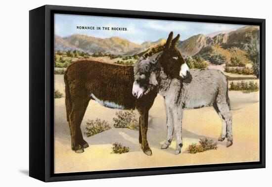 Burros Snuggling, Romance in the Rockies-null-Framed Stretched Canvas