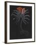 Burrowing Anemone-Philip Henry Gosse-Framed Giclee Print