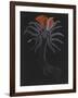 Burrowing Anemone-Philip Henry Gosse-Framed Giclee Print