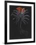 Burrowing Anemone-Philip Henry Gosse-Framed Giclee Print