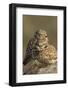 Burrowing Owl Pair-Ken Archer-Framed Photographic Print