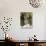 Burrowing Owl, Salton Sea Area, Imperial County, California, USA-Diane Johnson-Photographic Print displayed on a wall