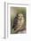 Burrowing Owl-Ken Archer-Framed Photographic Print