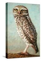 Burrowing Owl-James W. Johnson-Stretched Canvas