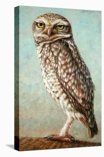 Burrowing Owl-James W. Johnson-Stretched Canvas