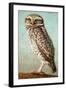 Burrowing Owl-James W. Johnson-Framed Giclee Print