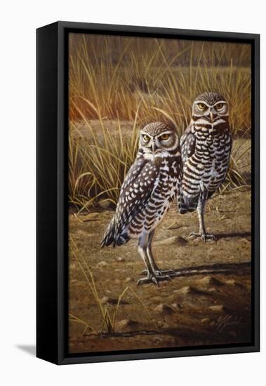 Burrowing Owls-Wilhelm Goebel-Framed Stretched Canvas