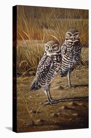 Burrowing Owls-Wilhelm Goebel-Stretched Canvas