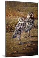 Burrowing Owls-Wilhelm Goebel-Mounted Giclee Print