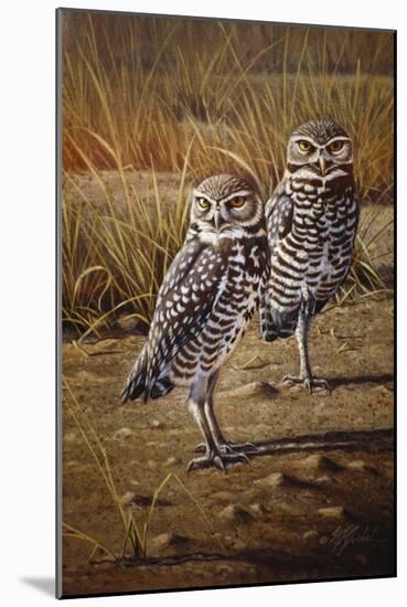 Burrowing Owls-Wilhelm Goebel-Mounted Giclee Print