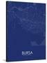 Bursa, Turkey Blue Map-null-Stretched Canvas