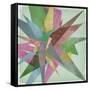 Burst I-Jennifer Goldberger-Framed Stretched Canvas